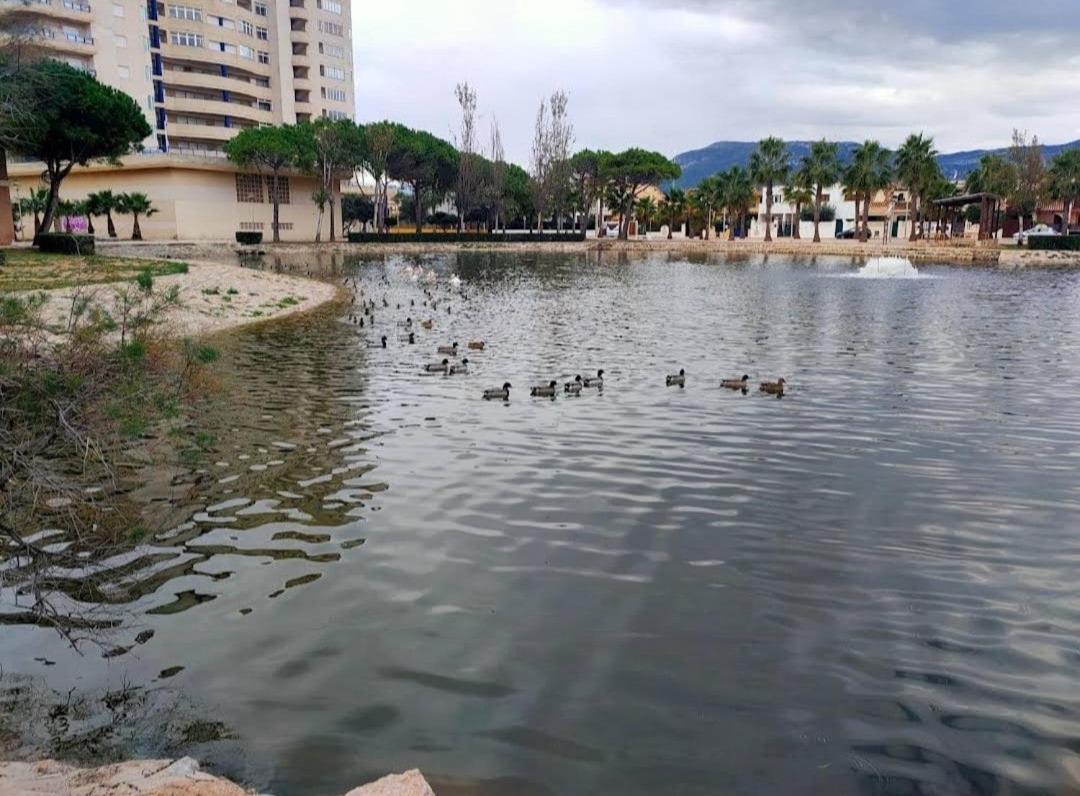 Arena Y Mar Διαμέρισμα Tavernes de Valldigna Εξωτερικό φωτογραφία